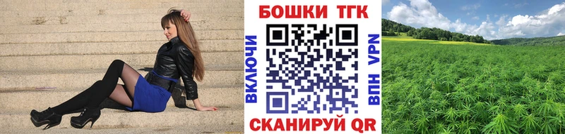 Каннабис планчик  Яровое 